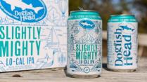 Dogfish Head Craft Brewery Inc - Slightly Mighty 12 Pk Cans (12 pack cans) (12 pack cans)